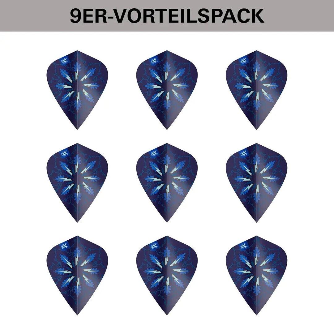 Target Pro Ultra Phil Taylor Power Gx2 Kite Flights