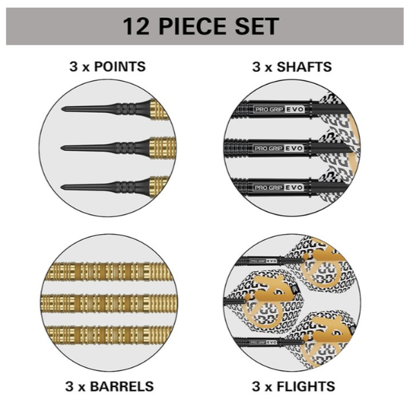 Target Bolide Envy 10 90% - Softdarts