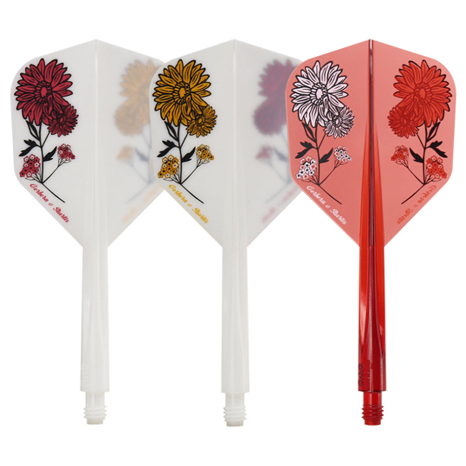 Condor AXE Flight- Small Gerbera Statice Mix