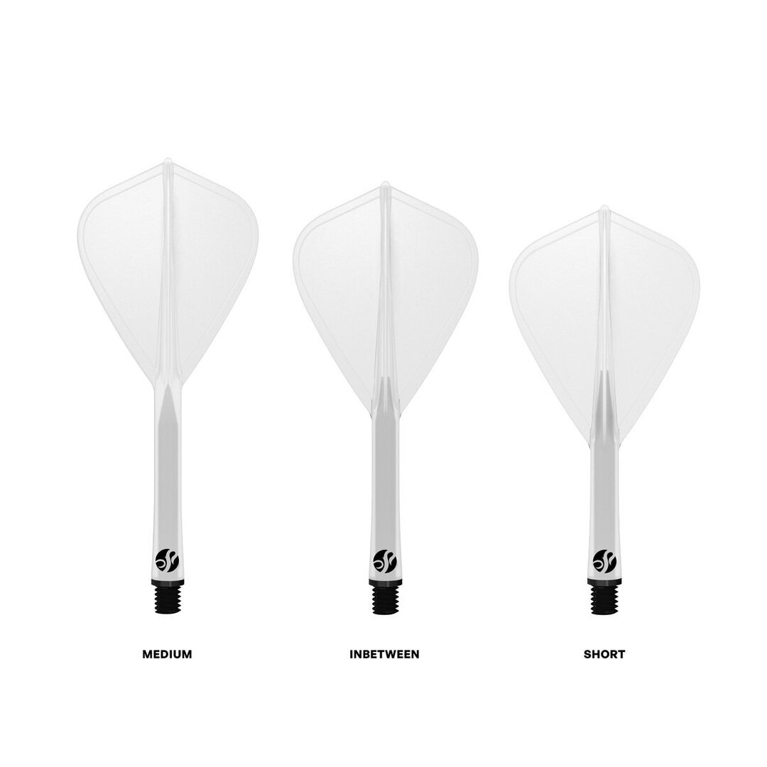 Shot Flight Deck Kite